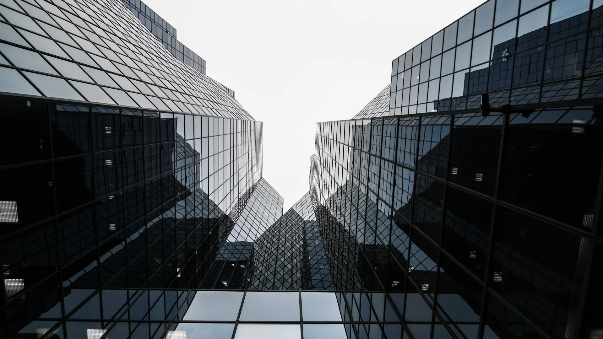 خلفية المنصة